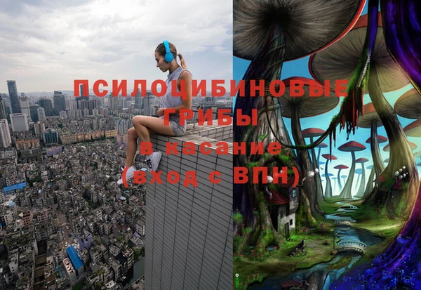 молекула духа Верея