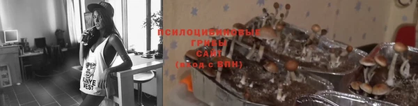 молекула духа Верея