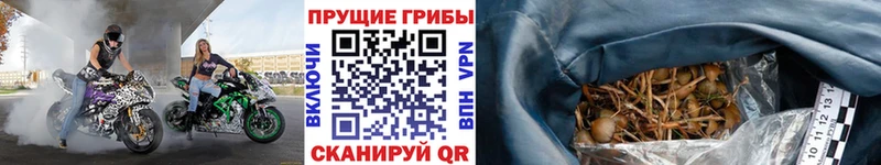 Купить закладки  Мирный  Галлюциногенные грибы Psilocybine cubensis 